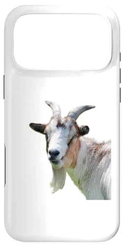 �A���p�C�������i���M�̏ё��� ���A���ȉƒ{�A�[�g���[�N �X�}�z�P�[�X iPhone 17 Pro Max �p