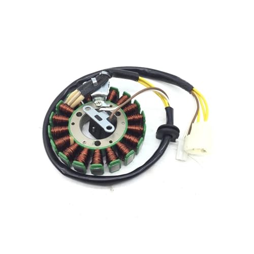 Bobine magneto de moto pour HS125T-2 AN125 QS125T AN150 HS150