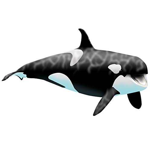 VWAQ Giant Orca Whale Wall Decal Peel and Stick Killer Whale Ocean Wall Art (14.5" H X 24" W)