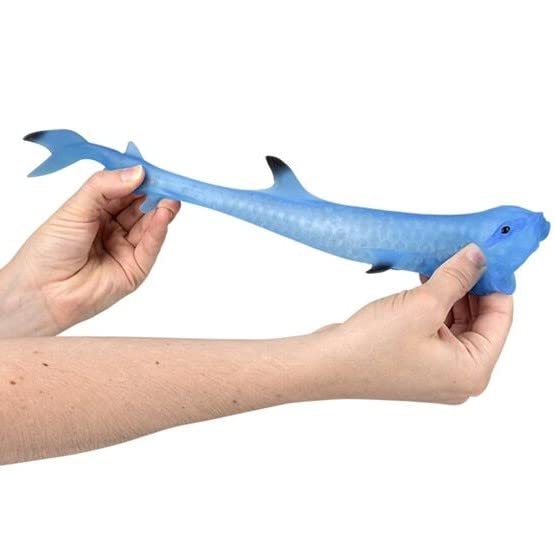 HAMMER HEAD SHARK CDセット 時速36Km Squeezy Bead Stretch Squishy Hammer Head Shark 3 Pack - Sensory