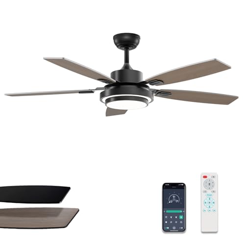Size 52 Color Black Ceiling Fans with Lights and Remote Control, Ceiling Fan for Bedroom Living Room and Patio, Medium Modern Black Ceiling Fan for Indoor and Outdoor