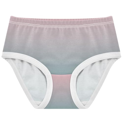 Joisal Fancy Girls Underwear Toddler 2t Cotton Panties for Girl Blush Pink Cadet Blue Gradient Briefs Girls Undies