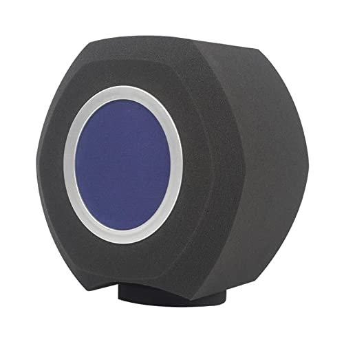 Best Mic For Live Acoustic Guitar Expert Review The Modern Record