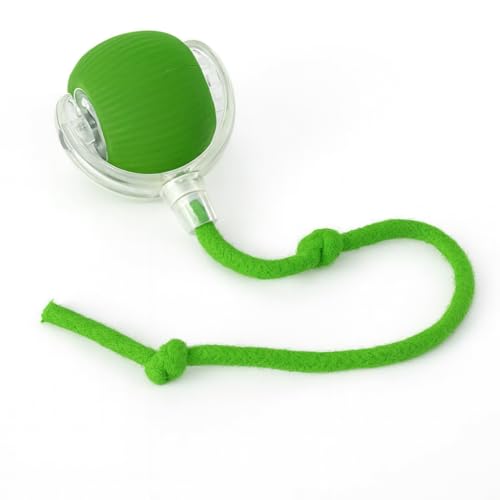 �C���^���N�e�B�u�L&���^���{�[����������A���t���A�������[�����O�AUSB�[�d���X�}�[�g�}�E�X ? Juguete Interactivo para Gatos y Perros Pequenos con Cola, Raton Inteligente Re