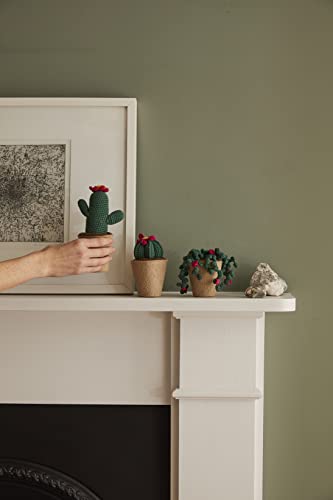 Kit de gancho DMC de cactus de 8 cm para relajarse tejiendo a crochet 5