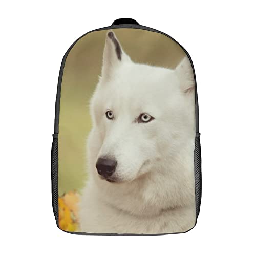 Sac à dos chien enfant pour les journées de cours et les sorties