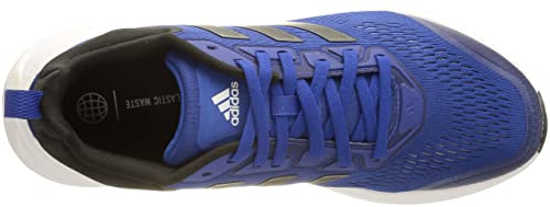 Image of Adidas Questar Running Shoes