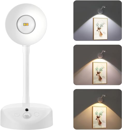 1 Pack Picture Light for Wall Battery Operated with Remote