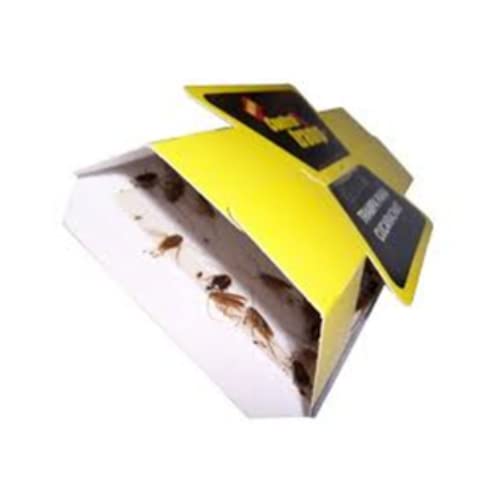 Proteínas, Imagen adicional