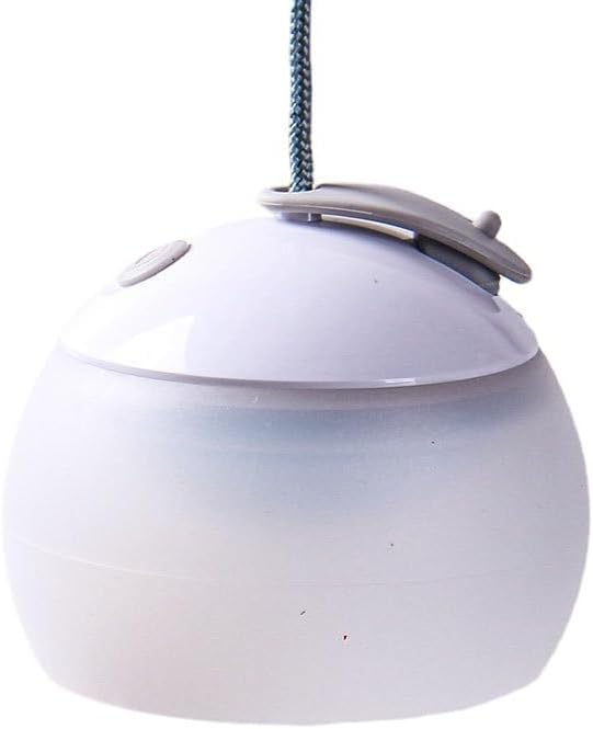 Portable LED Camping Lamp, USB Rechargeable, 3 Brightness Levels, Warm/Cool White Light, 10-12 Hour Battery Life, Hook Design, Camping Present (White)