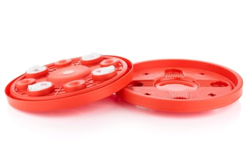 Image of Ansa Gas Cylinder Trolley with 4 Smooth Wheels | Heavy-Duty, Long Lasting LPG Cylinder Stand | Durable & Convenient Kitchen Gas Trolley for Everyday Use (Red)