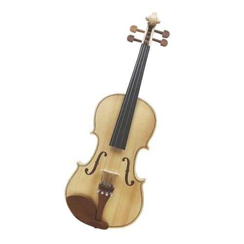 �o�C�I���� �y�� 4/4 �o�C�I�����蒤�胍�O�J���[�o�C�I�����Z�b�g�|�ƃP�[�X�t�����K���y��o�C�I����