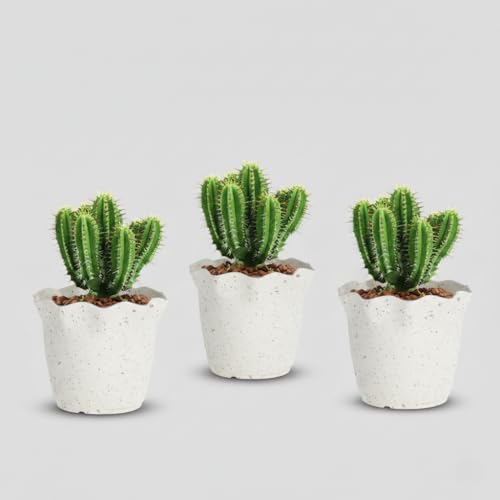Image of YUCCABE ITALIA SHERA Flower Plastic Flower Pot Unbreakable Round Shape Planter with Drainage Holes Planter Suitable for Home Garden Seedling Indoor and Outdoor (Marble White, 6 INCH - 3 Pcs)