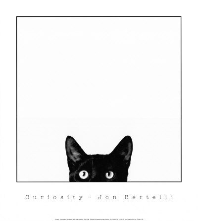 Curiosity Art Poster Print by Jon Bertelli, 18x20