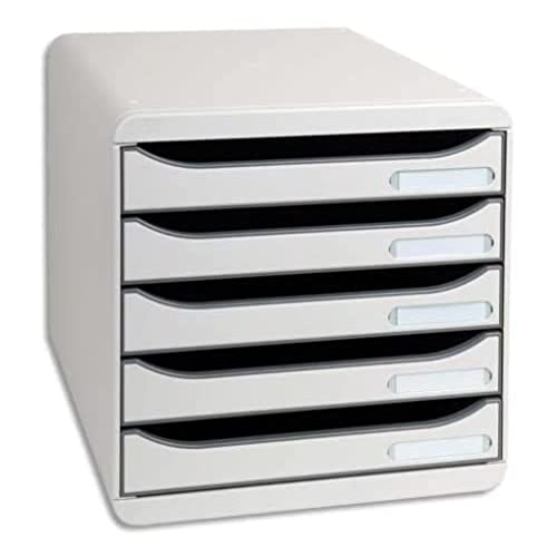 EXACOMPTA Module de classement Big Box Plus 5 tiroirs gris lumière
