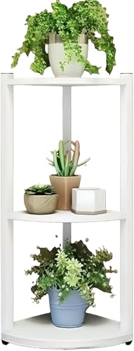 Slystar R[i[bN TChe[u R[i[VFt [I u A u t[X^h  l炵  k  AeB[N ϗtA K[fjO Lb` gC  oRj[ (A) [sAi