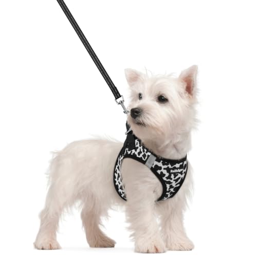 Image of rabbitgoo Dog Harness Small Sized and Leash Set, Step-in Puppy Pet Vest