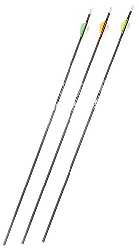 Gold Tip Ultralight Entrada 500 Arrows with 2-Inch HP Vanes (72 Count)