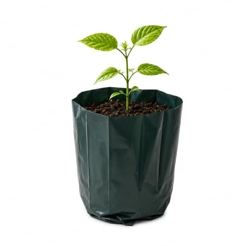 Image of Go Garden Grow Bags for Plants 4 x 5 Inch (Pack of 500) | UV Protected Plastic Nursery Bags for Seedlings, Vegetable, Flower & Sapling Plants | Heavy Duty Black Poly Grow Bags