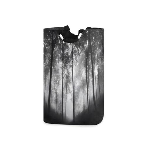 Jihqo Laundry Hamper Basket Forest Black Trees Collapsible Nursery Storage Bin Waterproof Clothing Baskets for Home Bedroom Bathroom Washing Room