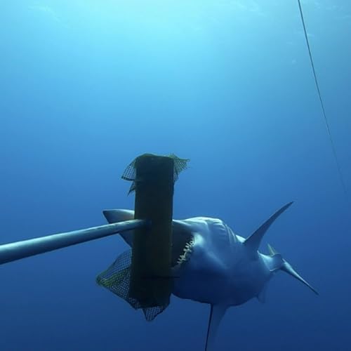 Saving Endangered Species