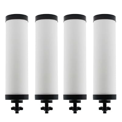?Upgraded?Renami Ceramic Filter Silver Infused Replacement for BB9-2® Black Activated Carbon Filters, Compatible with Berkey® Travel, Large, Royal, Crown Series, Repeatable Cleaning Filters, Pack of 4