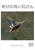 幸せの青い鳥さん　30