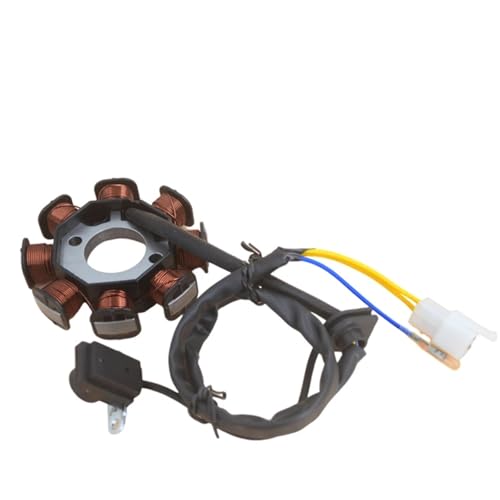 Pièces de Rechange Stator Magnéto Moto 8 Pôles DC pour Moteur WH100 SCV 100cc