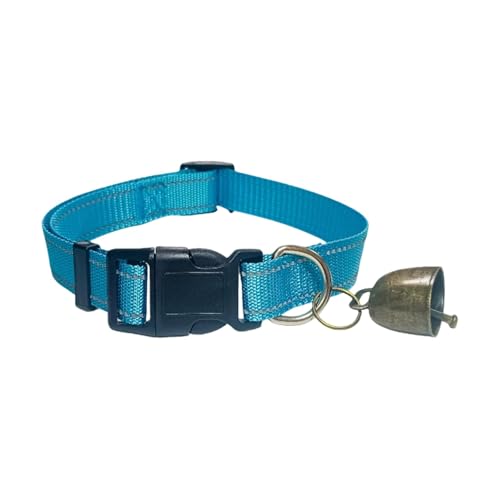 DeeRace xtMցA˕֗ȌpցA߉\AȔ_̓Aybg̗rAp̋x, 