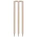 GM Bleached & Polished Cricket Stumps Set
