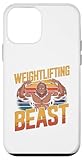 Weightlifting Fitness Designs