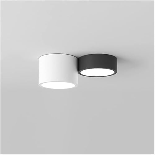QVVFRED LED Ceiling Light, Cylindrical 3-Color Dimming Fixture, Modern Ceiling Lamp for Aisle, Entrance, Cloakroom, Living Room, Bedroom, Dining Room,Lighting Fixtures(2-Lights)