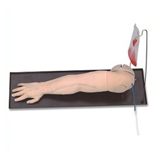 Simulaids Deluxe IV Training Arm 140120 Science Lab Biology