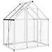 vidaXL Gewächshaus mit Fundamentrahmen, Pflanzenhaus mit Dachrinnensystem Flügeltür, Treibhaus für Pflanzen, Frühbeet, Silber Aluminimum