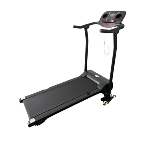 Mile Fitness 100kg 9km/h