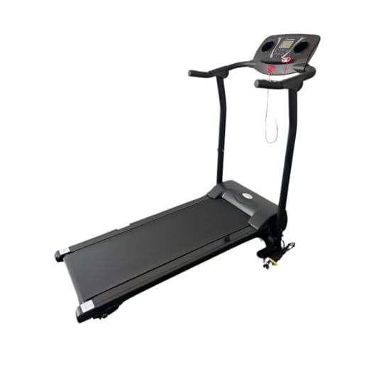 Mile Fitness 100kg 9km/h