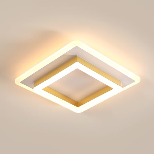 DELIPOP Lámpara de Techo LED, 30W Plafón LED Techo Cuadrado, Luz de Techo LED Moderna para Dormitorio Cocina Sala de Estar Pasillo Comedor Balcón, Blanco Cálido 3000K