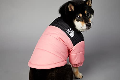 Chochocho Cozy Dog Coat, Stylish Dog Jacket, Warm Dog Cold Weather Coats, Snow Dog Winter Coat, Dog Winter Jacket For Dogs, Cats, Puppies Small Medium Large (M, Pink) #TOP1