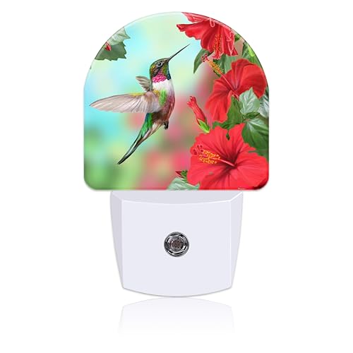 Image of Hummingbird on Lossoming Red Flower Night Light Plug into Wall with Dusk to Dawn Sensor Cute Nightlight for Kid Girls Boys Women Men Room Decor, Hallway, Kitchen, Bathroom, Nursery, Stairs