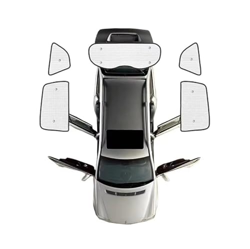 Protection solaire voiture Ford S-Max pare-soleil voyage en famille