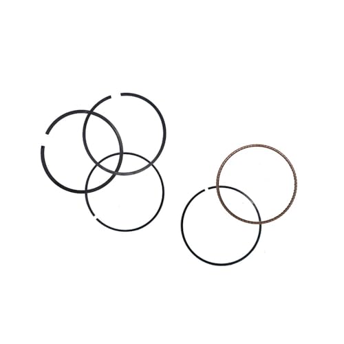 Segments de piston Lianhai 260CC quad UTV pièce 27242