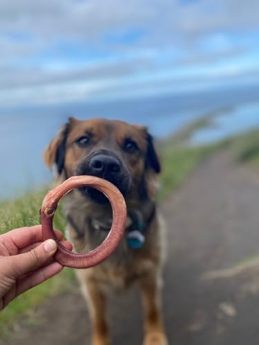 REDBARN PET PRODUCTS INC 251003 Bully Rings