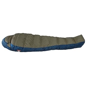 Amazon.co.jp: ナンガ（NANGA) オーロラライト 450DX レギュラー