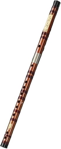 AZIEBAY 8|t[gAJAGAFAEADACL[A_炩Sn悢FAS҂ɍœKA@\ÃV[ɍœKA|[^uAiۏ؁ASĂw܂B