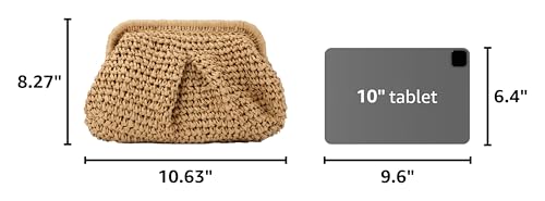Emprier Cloud Dumpling Woven Bag