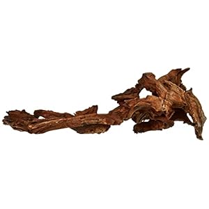 Amtra Legno Mystic Wood – Decorazione per acquario naturale, per acquario, paludari e terrari, 30-40 CM