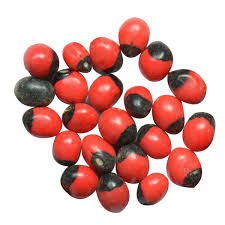 See full amazon price history chart for S.G.U. Mantra Siddha Laal Chirmi Red Gunja Seeds For Lakshmi Upasna Sadhna Gurivinta Seeds .. (51) S.G.U. Mantra Siddha Laal Chirmi Red Gunja Seeds For Lakshmi Upasna Sadhna Gurivinta Seeds .. (51) (B0791GCB5J) Amazon Price History, Amazon Price Tracker