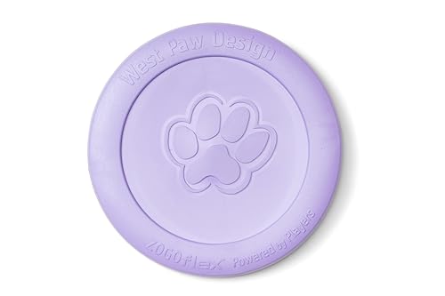 West PawiEFXg|Ej]StbNX WXN  tXr[ vŉɂ \tgf ɕ p yJ[ x_[ STCYz