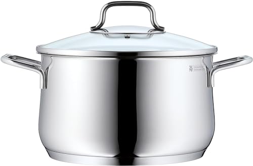 WMF Brilliant Kochtopf groß 24cm, Glasdeckel, Fleischtopf Induktion 6,5l, Cromargan Edelstahl satiniert matt, unbeschichtet