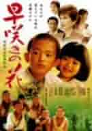早咲きの花 　DVD　浅丘ルリ子 笠菜月 北条隆博 Amazon.co.jp: 早咲きの花 [DVD] : 浅丘ルリ子, 笠菜月, 北条